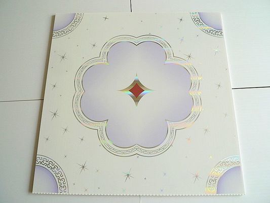 3D PVC複合板 壁や天井の装飾用 サイズ Ect pd109 耐久性素材