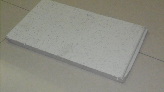600mm*600mm 内部の音吸収のための穴が開たミネラルウールの天井板