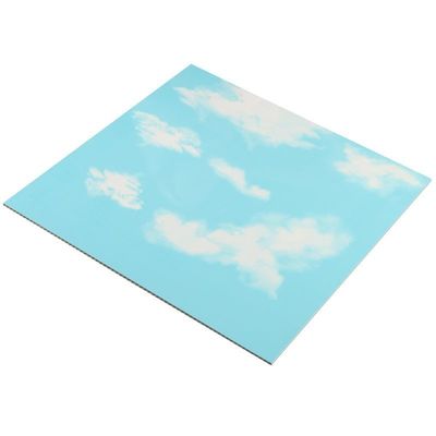 500mm×500mm 彩色の3D壁/天井装飾パネル/インテリアデザイン用ボード