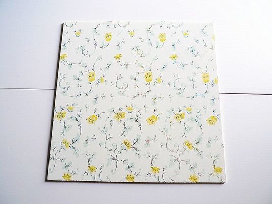 カラフルな防水プラスチックPVC3Dボード KTV/バー壁飾り 500*2000*3.0mm