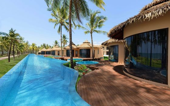 屋外庭園 普通の天井機能と木材の設置の合成ストラッチ