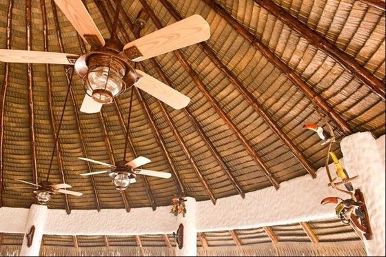 屋根シミュレーション環境のための合成樹脂アフリカ人製人工の草
