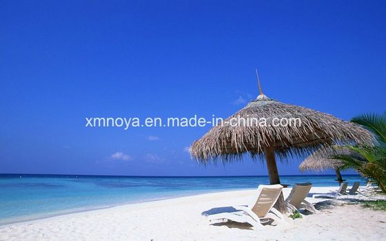 海岸用 防水 ストラッチ 屋根 素材 合成 サイズ サイズ