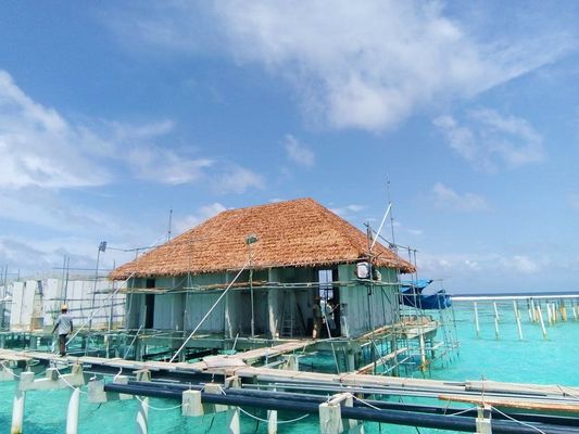 ホテルの屋根の解決法 紫外線防止 合成パーム葉 ナイロン素材の屋根の草