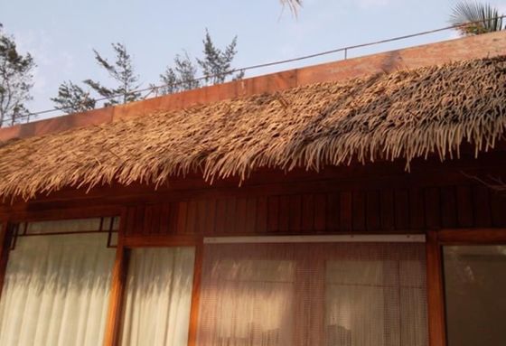 ホテルの屋根の解決法 紫外線防止 合成パーム葉 ナイロン素材の屋根の草