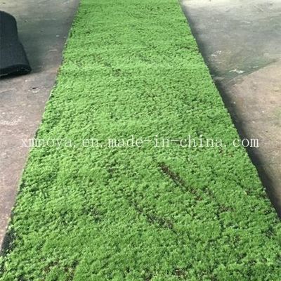 人工草 装飾用モス オーダーメイドデザインの環境にやさしいPE植物