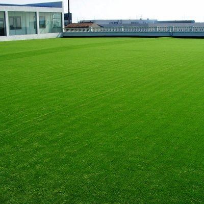 国際級 カービング 糸 形 合成 緑 カーペット 内外用