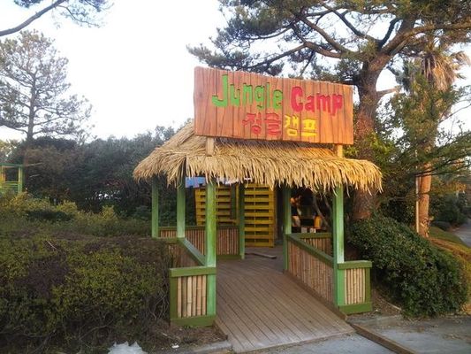 ホテルの天井タイル 天然の草の材料 / 環境に優しい草の屋根の表面