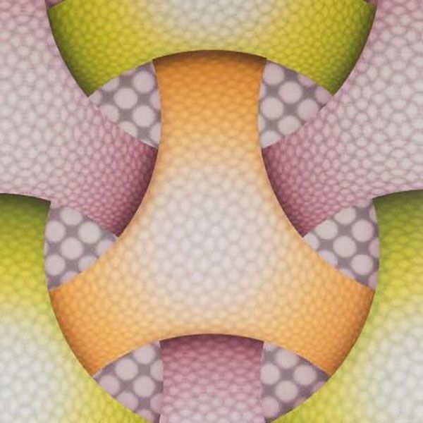 室内壁や天井の装飾用3DPVCボード/パネル 500*2000*3.0mm